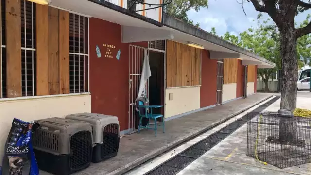 Los animales contarán con comida y agua que será totalmente gratuita