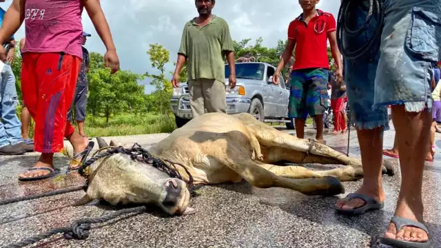 FOTOS: Marco Rodríguez