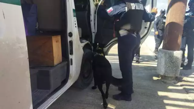 Durante la inspección de seguridad el canino de la Unidad K9 realizó un marcaje sobre un pasajero
