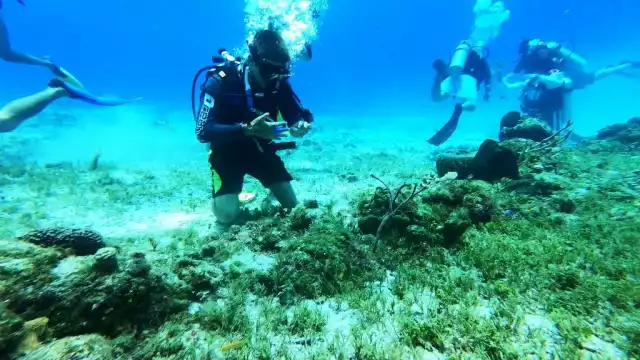 Los ambientalistas exhortan a los turistas a tener cuidado al usar sus cubrebocas en estas áreas