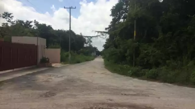 Foto: Rafael García