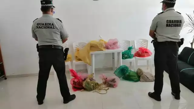 El hombre fue detenido y puesto a disposición de la Fiscalía General de la república