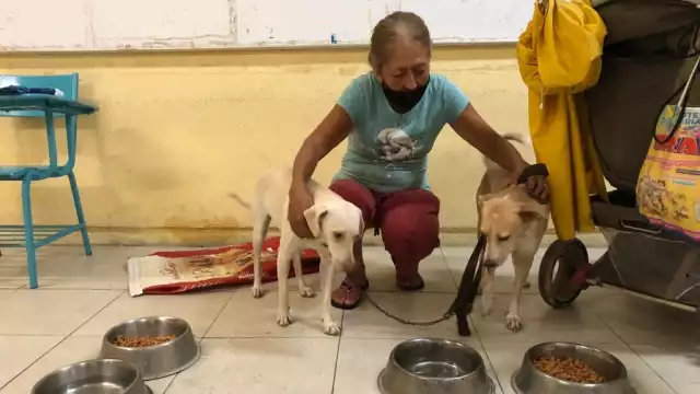 Aracely Martínez fue la única persona que asistió al refugio ubicado en la escuela primaria Ek Balam en la supermanzana 247