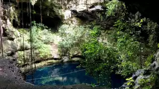 El perrito cayó por accidente
