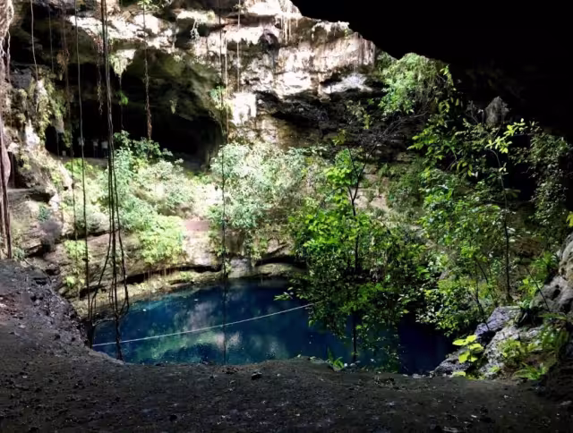 El perrito cayó por accidente
