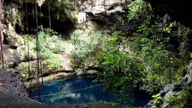 El perrito cayó por accidente
