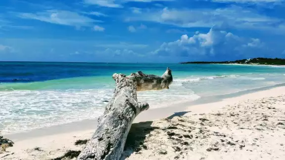 Su vista es paradisiaca Su vista es paradisiaca