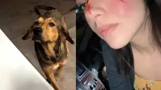 A través de dos cuentas en Facebook, bajo el nombre de “Roma Puente” y "Ana Vizcarra", divulgó fotografías de las lesiones que le provocó el can