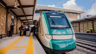 Desde el 2024 en la comunidad de Conhuás, Calakmul, existen el proyecto de ‘ecoaldeas’. La conectividad ayudará que los visitantes conozcan más el turismo sustentable