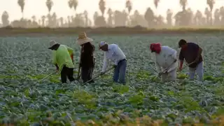 Muchos reducen su movilidad, evitan trabajar o cambian de ciudad para evitar riesgos
