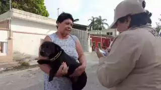 Este martes 8 de julio de 2025 se realizará jornada estatal de vacunación antirrábica.