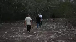 En lo que va del año la Profepa ha iniciado casi 200 expedientes por daños al medio ambiente