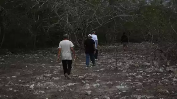 En lo que va del año la Profepa ha iniciado casi 200 expedientes por daños al medio ambiente En lo que va del año la Profepa ha iniciado casi 200 expedientes por daños al medio ambiente