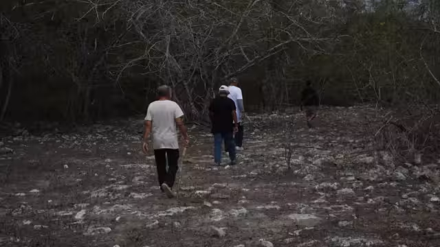 En lo que va del año la Profepa ha iniciado casi 200 expedientes por daños al medio ambiente