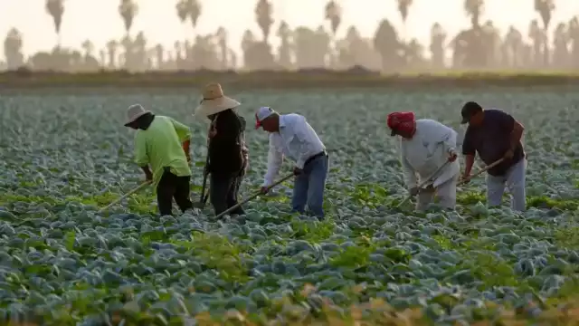 Muchos reducen su movilidad, evitan trabajar o cambian de ciudad para evitar riesgos