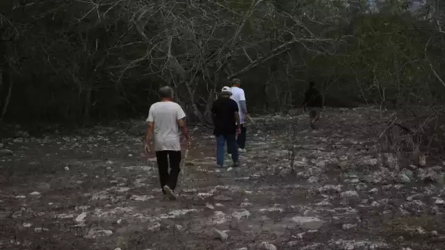 En lo que va del año la Profepa ha iniciado casi 200 expedientes por daños al medio ambiente