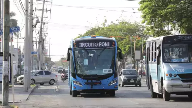 El chofer del Va y Ven será sancionado económicamente