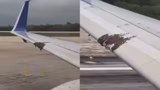 Enjambre de abejas retrasa despegue de avión de Delta Air Lines en el Aeropuerto de Cancún