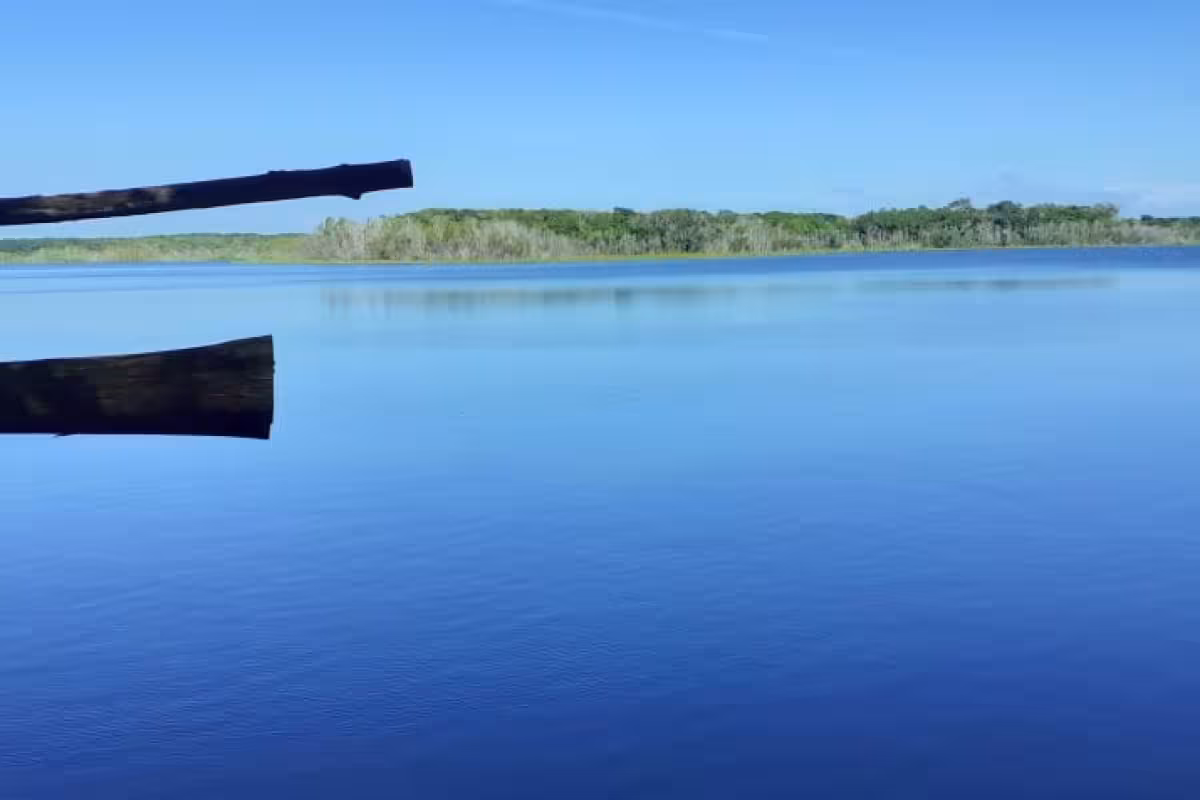 Laguna de Santo Domingo en José María Morelos, belleza en la Zona Maya - PorEsto