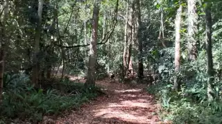 Vecinos de Saban piden promover La Aguada y las Ruinas de El Mirador como zonas turísticas