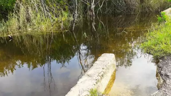 Se construya un dique en ambos lados del camino. Foto: Lusio Kauil