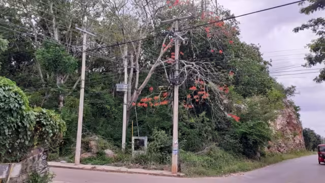 En el terreno donde se encuentra la antena de Telcel, una mujer intentó suicidarse hace unos meses