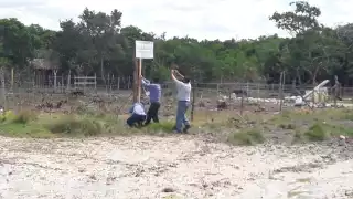 Profepa clausura predio por afectar a manglares en Río Lagartos