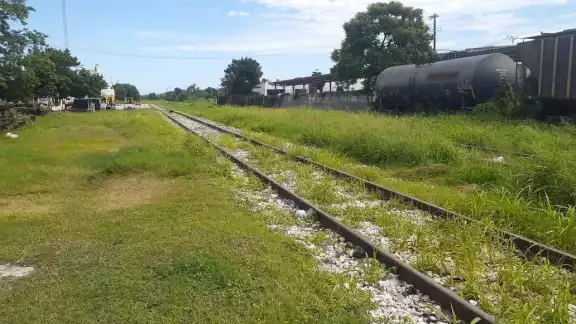 Actualmente Fonatur solo ha liberado dos de 237 kilómetros de las vías férreas en Campeche. Foto: David Vázquez Actualmente Fonatur solo ha liberado dos de 237 kilómetros de las vías férreas en Campeche. Foto: David Vázquez