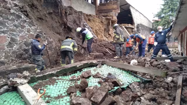 El lugar que lleva por nombre Milagros Caninos lleva muchos años tratando de ayudar a los perritos de la calle y les proporciona un hogar y rehabilitación a todos aquellos que han sufrido maltrato.