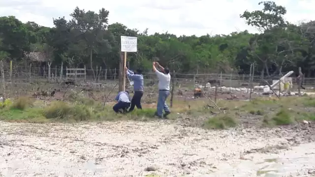 Aunque no encontraron a los causantes, procedieron a la colocación de los sellos correspondientes en el terreno