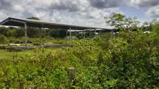 Los vecinos comentan que los malandros ya se llevaron todos los cables del alumbrado público