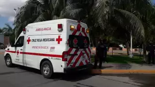 FOTOS: José Pacheco