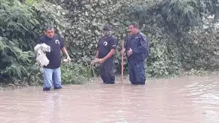 La Coordinación Estatal de Protección Civil pronosticó esta mañana que las precipitaciones pluviales continuarán por el resto del día