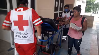 FOTOS José Pacheco
