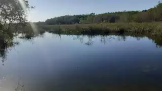 Indicaron que la gente que quiera consumir refrescos o comida tiene salir del área donde está el agua para hacerlo