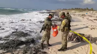 La totalidad de los paquetes en mención fueron puestos a disposición de la FGR con sede en el municipio de Playa del Carmen