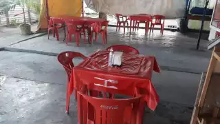 FOTOS: José Pacheco