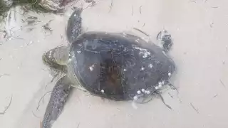 FOTOS: Julio Jiménez Mendoza