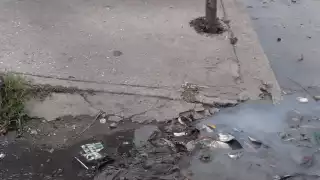 FOTO: Irene Barradas