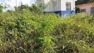 Las casetas fueron construidas durante la administración del profesor Cristino Flota Medina(1996-1999)