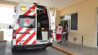 FOTOS: José Pacheco