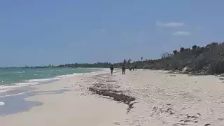 Las nueve personas fueron trasladadas al Cuartel Morelos de Tizimín