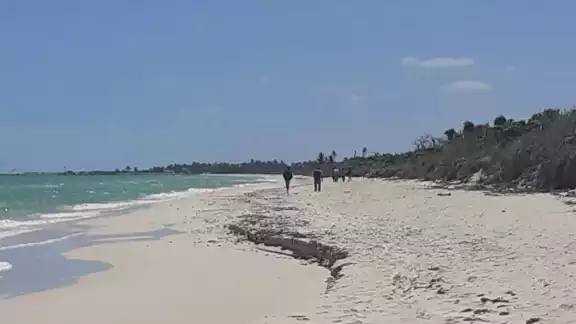 Las nueve personas fueron trasladadas al Cuartel Morelos de Tizimín Las nueve personas fueron trasladadas al Cuartel Morelos de Tizimín