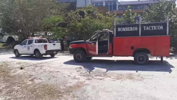 Al lugar llegaron elementos de bomberos y de Protección Civil para sofocar las llamas Al lugar llegaron elementos de bomberos y de Protección Civil para sofocar las llamas