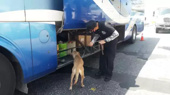El operativo duró aproximadamente una hora