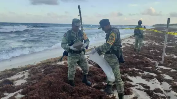 Personal de Sedena recorre desde Punta Molas hasta Playa Mezcalitos en Cozumel, donde se ha encontrado droga Personal de Sedena recorre desde Punta Molas hasta Playa Mezcalitos en Cozumel, donde se ha encontrado droga