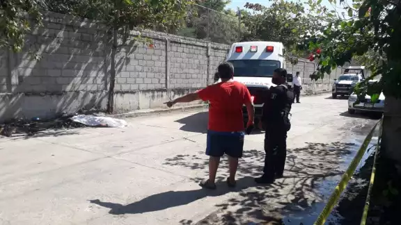 Foto: José Pacheco