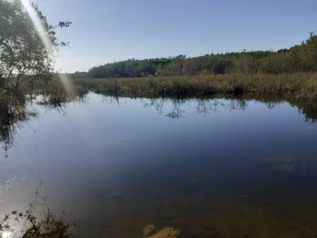 Indicaron que la gente que quiera consumir refrescos o comida tiene salir del área donde está el agua para hacerlo