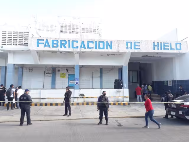 Foto:  José Pacheco