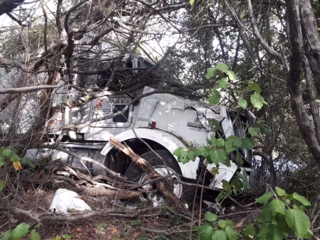 El conductor se durmió cuando cruzaba una curva